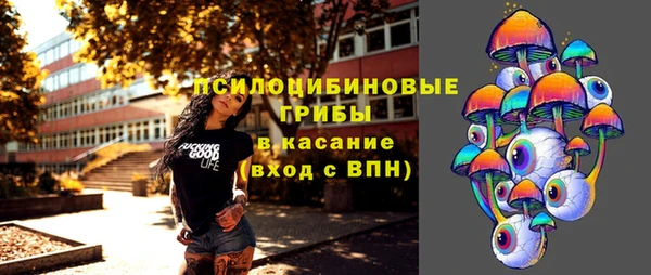 твердый Алзамай