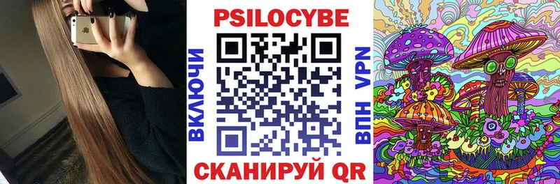 магазин    Мыски  Псилоцибиновые грибы Psilocybe 