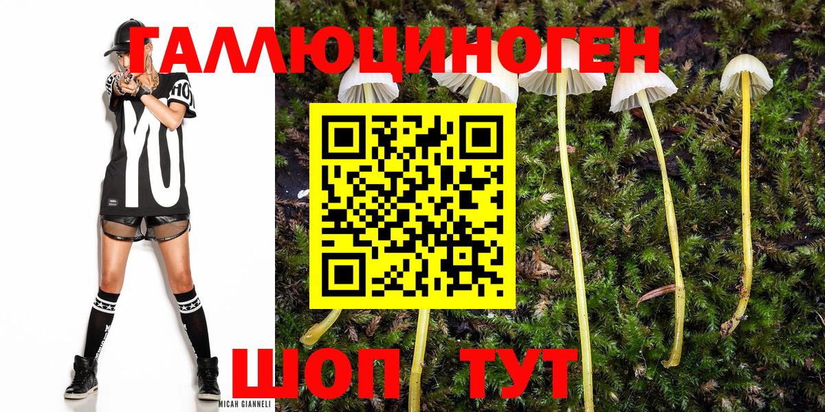 Псилоцибиновые грибы GOLDEN TEACHER Мыски