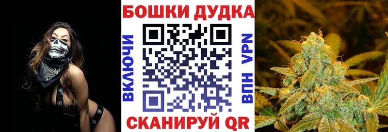 Конопля ГИДРОПОН  как найти наркотики  Мыски 
